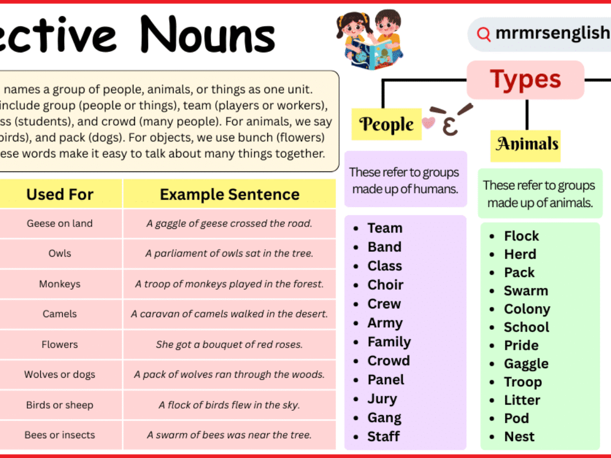 Collective Nouns Of Chartered Planes