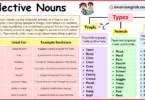 Collective Nouns Made Easy with Definition and Examples