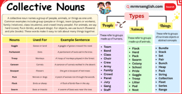 Collective Nouns Made Easy with Definition and Examples
