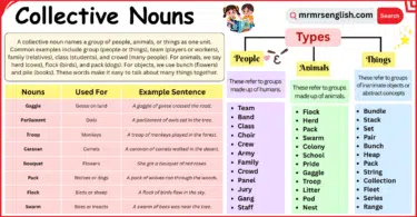 Collective Nouns Made Easy with Definition and Examples