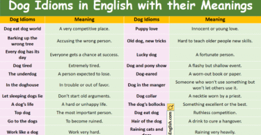 Dog Idioms in English with their Meanings and Pictures