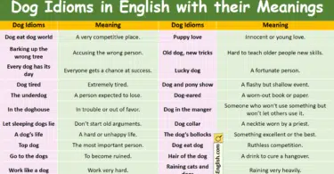 Dog Idioms in English with their Meanings and Pictures
