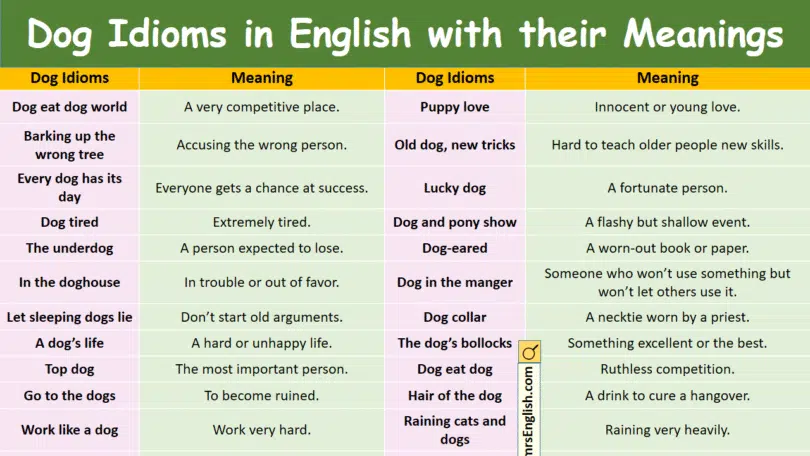 Dog Idioms in English with their Meanings and Pictures