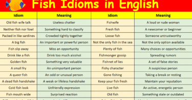 Fish Idioms in English with their meanings and Pictures