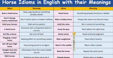 Horse Idioms in English with their meanings and Pictures