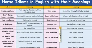 Horse Idioms in English with their meanings and Pictures