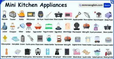 Mini Kitchen Appliances Names in English with Their Pictures