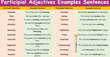Participial Adjectives Examples Sentences in English with Pictures