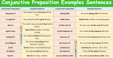 100 Conjunctive Preposition Examples Sentences in English