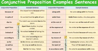 100 Conjunctive Preposition Examples Sentences in English