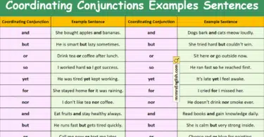 100 Coordinating Conjunctions Examples Sentences in English