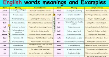 100 Daily Used English words with Meaning and Examples