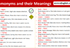 100 Homonyms and their Meanings in English with Pictures
