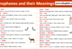 100 Homophones with Their Meanings in English with Pictures