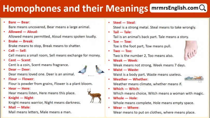 100 Homophones with Their Meanings in English with Pictures
