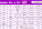 100 Synonyms for a lot in English with Pictures