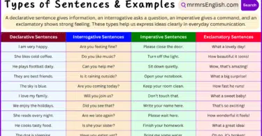 4 Types of Sentences with Examples in English with Pictures
