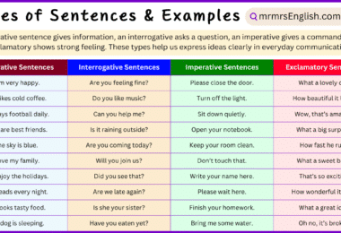 100 Singular Nouns Example Sentences in English with Pictures - MR MRS ...