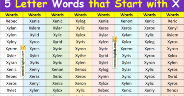 5 Letter Words that Start with X in English with Pictures