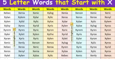 5 Letter Words that Start with X in English with Pictures