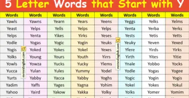 5 Letter Words that Start with Y in English with Pictures