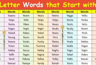 5 Letter Words that Start with Y in English with Pictures