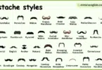 Different Mustache Styles Names in English with Pictures