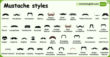 Different Mustache Styles Names in English with Pictures