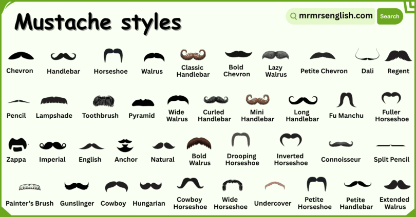Different Mustache Styles Names in English with Pictures