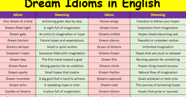 Dream Idioms in English with their meanings and Pictures