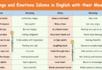 Feelings and Emotions Idioms with their meanings and Pictures