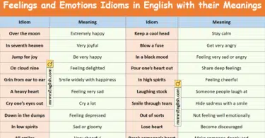Feelings and Emotions Idioms with their meanings and Pictures