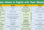 Funny Idioms in English with their Meanings and Pictures