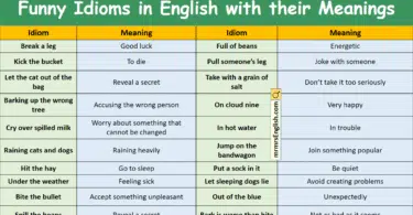 Funny Idioms in English with their Meanings and Pictures