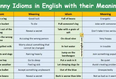 Funny Idioms in English with their Meanings and Pictures