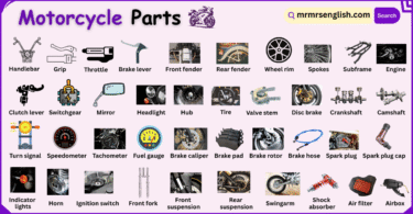 Motorcycle Parts Names in English with Their Pictures