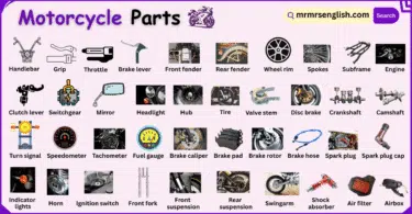 Motorcycle Parts Names in English with Their Pictures