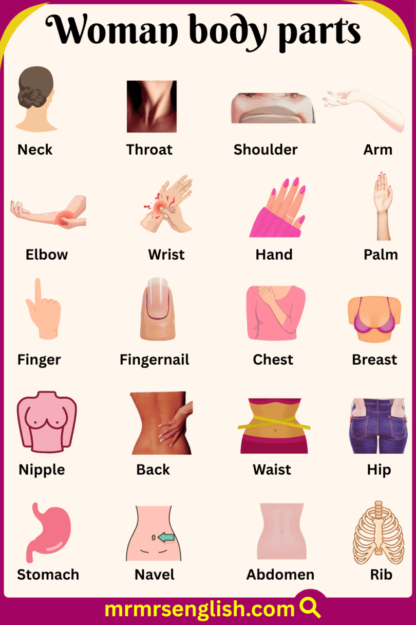 Woman Body Parts Names in English with Pictures - MR MRS ENGLISH