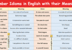 Number Idioms in English with their Meanings and Pictures