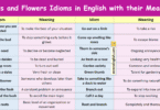 Plants and Flowers Idioms in English with their Meanings