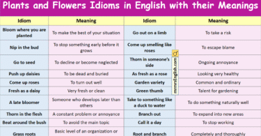 Plants and Flowers Idioms in English with their Meanings