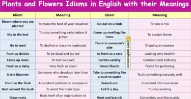Plants and Flowers Idioms in English with their Meanings