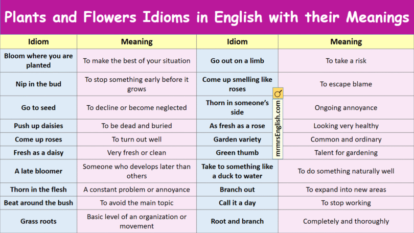 Plants and Flowers Idioms in English with their Meanings
