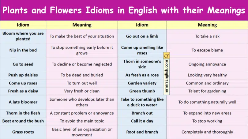 Plants and Flowers Idioms in English with their Meanings