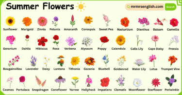 Summer Flowers Names in English with Their Pictures