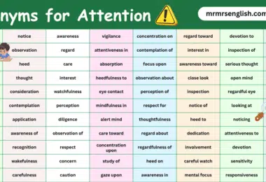 Synonyms for Attention in English with their Pictures