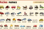 Transportation Vehicles Names in English with their Pictures
