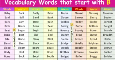 Vocabulary Words that start with B in English with Pictures