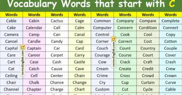 Vocabulary Words that start with C in English with Pictures