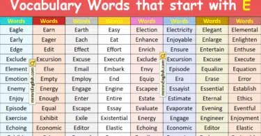 Vocabulary Words that start with E in English with Pictures
